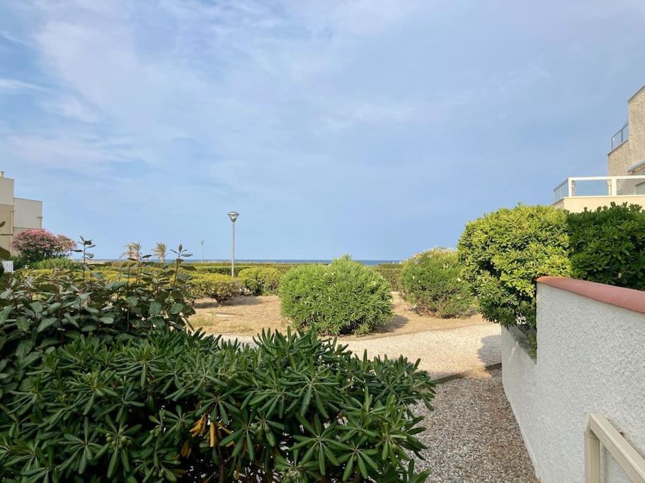 Le Grand Large 3 Pieces En Rez De Jardin, Avec Terrasse Et Acces Direct A La Plage A Pied Le Barcarès Eksteriør billede